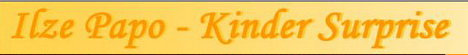 Banner von Ilze Papo